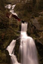 winefall